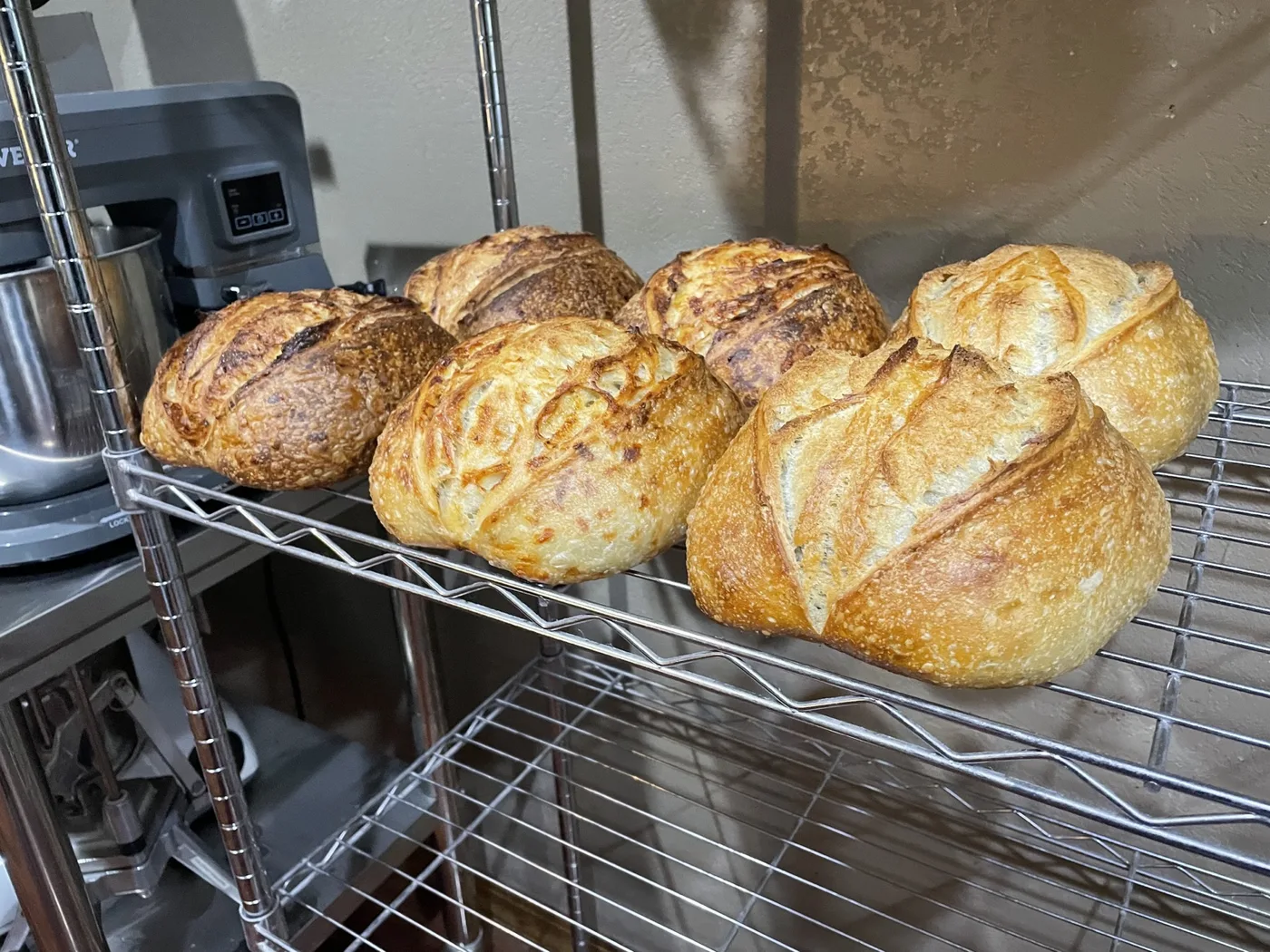 Freshly baked sourdough loaves