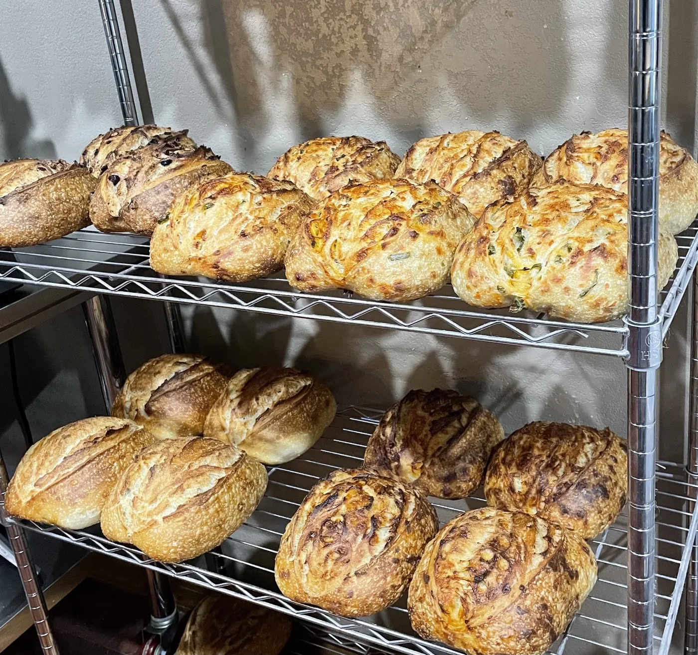 Fresh sourdough loaves cooling on racks